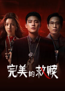 完美的救赎海报