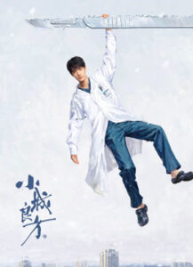 小城良方海报
